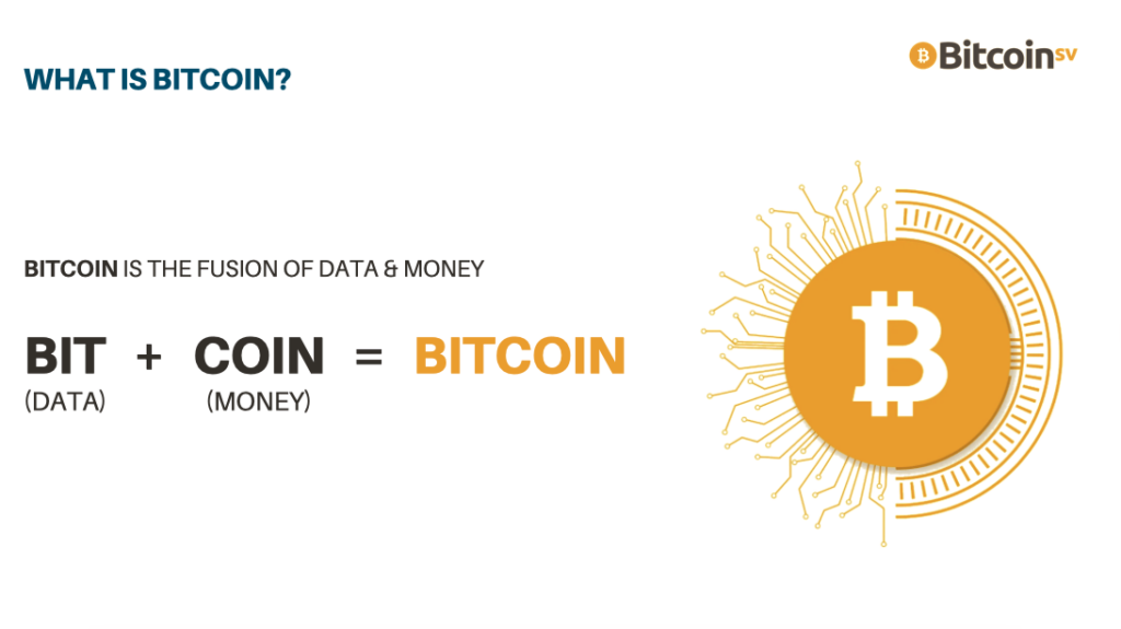 Infographic of Bit as Data and Coin as money